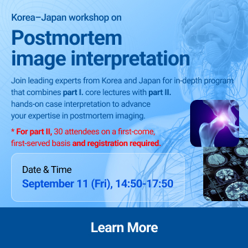 Postmortem image interpretation